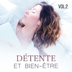 Détente et bien-être Vol. 2 - Musique relaxante instrumentale et anti-stress, Sons de la nature, Pensée positive, La pluie sonne pour un meilleur sommeil