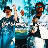 Um Brinde à Vida (feat. Cacife Clandestino) - Single - Afro-X