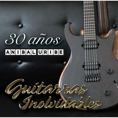 30 Años Guitarras Inolvidables