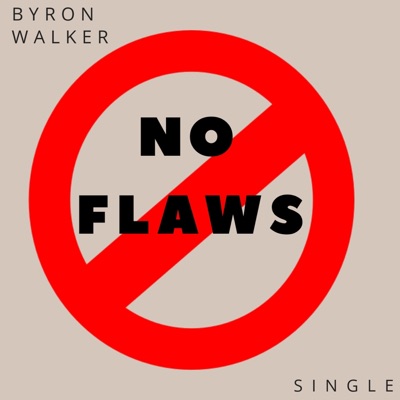 No Flaws - Single
