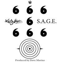 S.A.G.E. - Single - Kold-Blooded