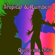 Quiero una Chica - Latin Dreams