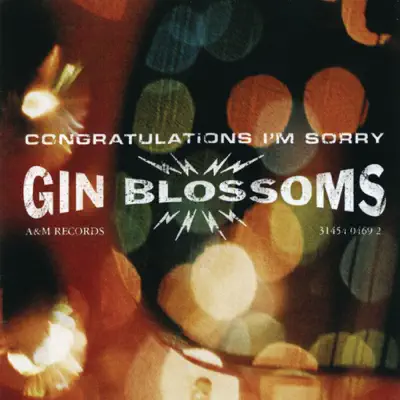 Congratulations I'm Sorry - Gin Blossoms