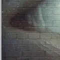Homeowner In Van Nuys