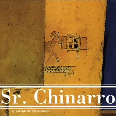 El por Qué de Mis Peinados - Sr. Chinarro