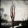 Ignite the Fire - Lazarus