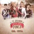 TE AMANDO MAIS QUE PINGA (FEAT. MUNHOZ & MARIANO)