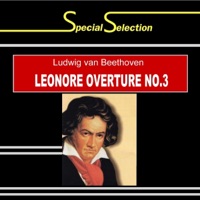 Special Selection / Ludwig van Beethoven: Leonore Overture No. 3 in C Major, Op. 72b