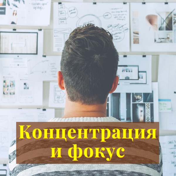 Концентрация и фокус: инструментальные песни для сопровождения исследования, увеличение концентрации и памяти