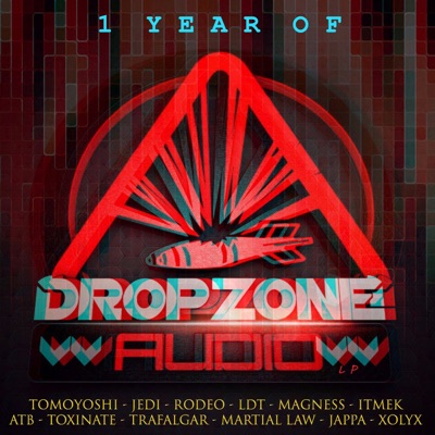 1 Year of Dropzone Audio LP
