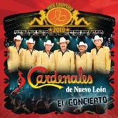Corazón Necio (Live México D.F/2010) artwork