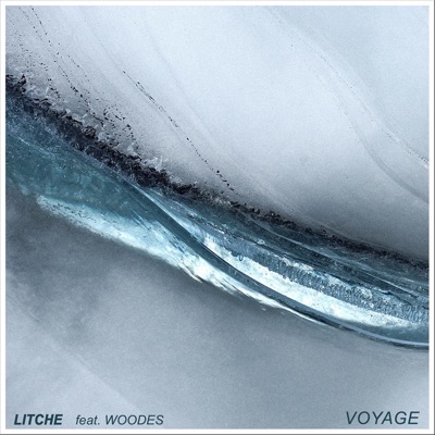 Voyage (feat. Woodes) - Single