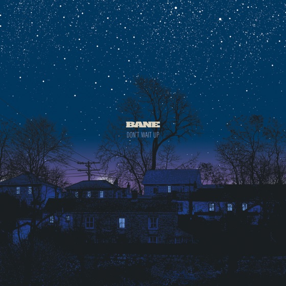 Cover artwork for Final Backwards Glance