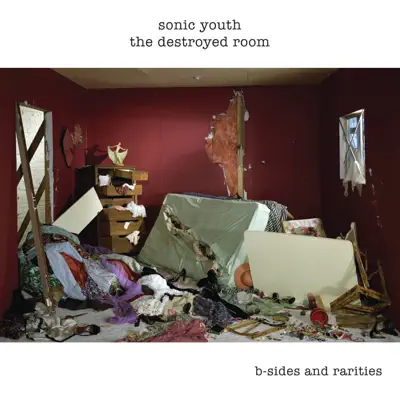 The Destroyed Room (B-Sides and Rarities) - Sonic Youth The Destroyed Room (B-Sides and Rarities) - Sonic Youth
