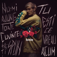 Tot - Single - HVNDS