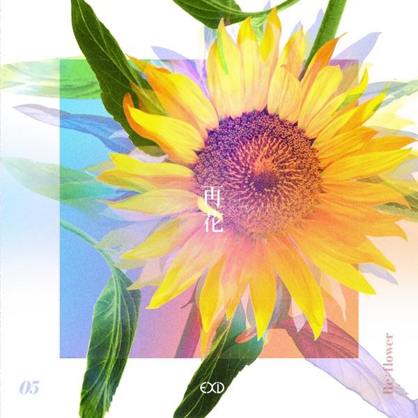 [Re:flower] PROJECT #5 - Single - EXID