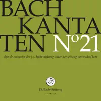 Stiftung & Rudolf Lutz - Ein feste Burg ist unser Gott, BWV 80: II. Alles, was von Gott geboren — Dorothee Mields, Klaus Mertens, Orchester der J.S. Bach