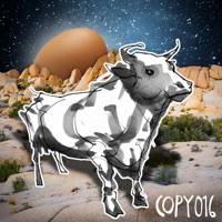 Numerobi - Caterkarlos