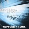 Railway Romance (Neptunica Remix) - Single