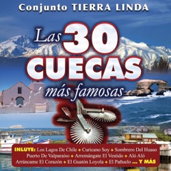CONJUNTO TIERRA LINDA - El Guaton Loyola