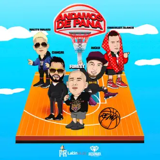 Andamos De Pana (Remix) by Forest, Rigeo, Malito Malozo & Cangri song reviws