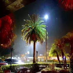 Didn't Know How to Let Go - Single - Leah