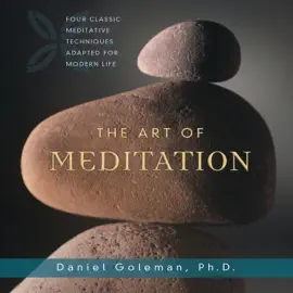 The Art of Meditation