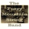 Protect the Innocent - The Fuzzy Mountain String Band lyrics