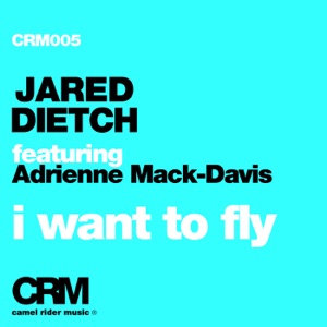 I Want to Fly (feat. Adrienne Mack-Davis) - Single