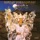 Barclay James Harvest - Believe In Me