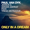 Paul van Dyk - Only in a Dream (feat. Tricia McTeague)