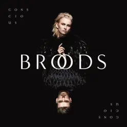 Conscious - Broods