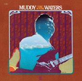 Muddy Waters - Everything's Gonna Be Alright