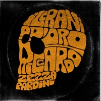 Album cover for Vento by RiccardoZezzaPardini