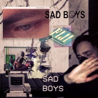 ВЕБ-ПАНК - Single - FACE