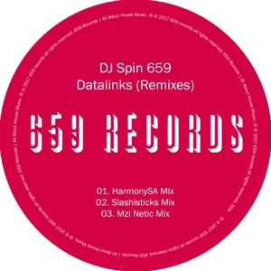 Datalinks (Remixes) - Single
