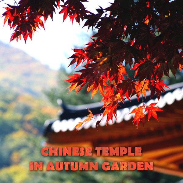 Chinese Temple in Autumn Garden: Asian Zen Spiritual Music, Japanese Nature Sounds, Cherry Spring Pond, Golden Light in the Rainy Night
