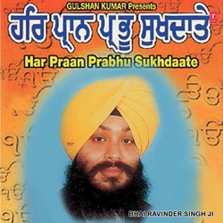 Bhai Ravinder Singh Ji - Mere Govind Apne Jan Ko De Wadiyaai