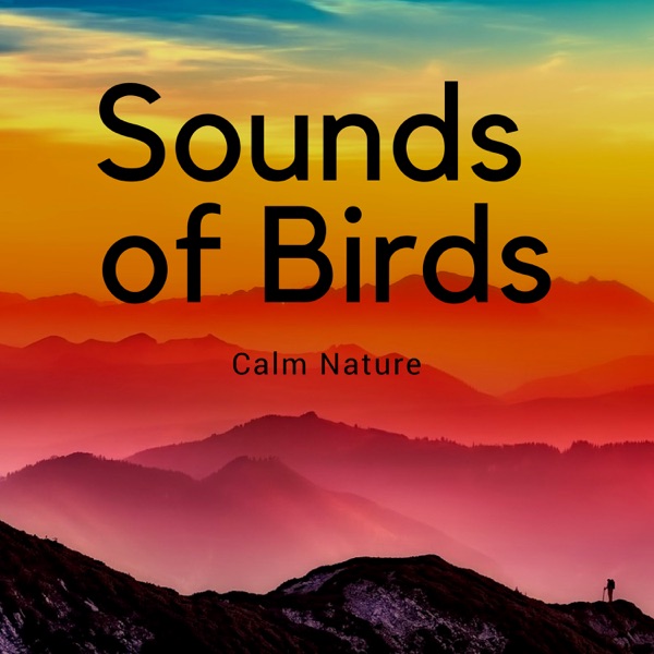 Sounds of Birds - New Age Meditation Music, Calm Nature, Serenity Instrumental Songs and Ocean Waves