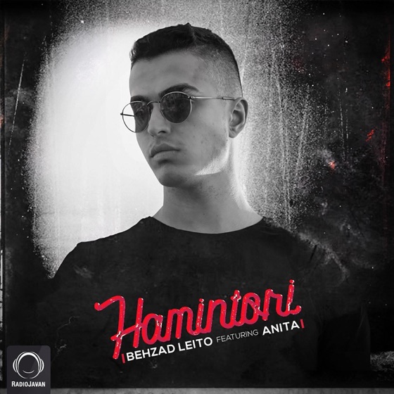 Cover artwork for Hamintori (feat. Anita)