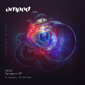 Synapsis - Single