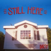 DAISY - STILL HERE