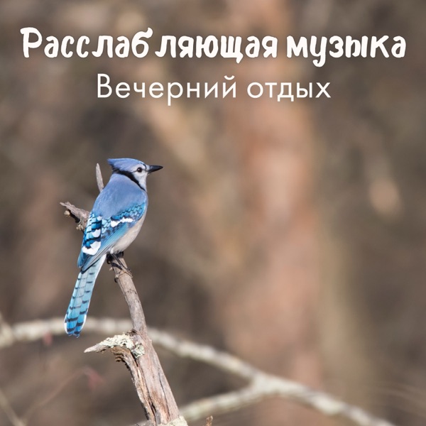 Расслабляющая музыка: Вечерний отдых, Звуки природы и инструментов, Снятие стресса, Спокойный сон, Релакс, Музыка для массажа