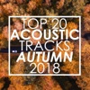 Guitar Tribute Players - Guiding Light