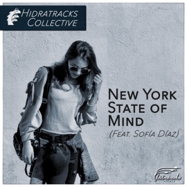 New York State of Mind (feat. Sofía Díaz) Hidratracks Collective
