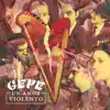 Un amor violento