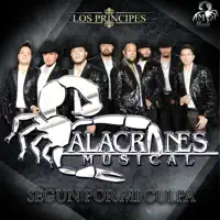Segun Por Mi Culpa — Alacranes Musical