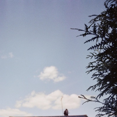 Chimes (feat. Dkvpz) - Single