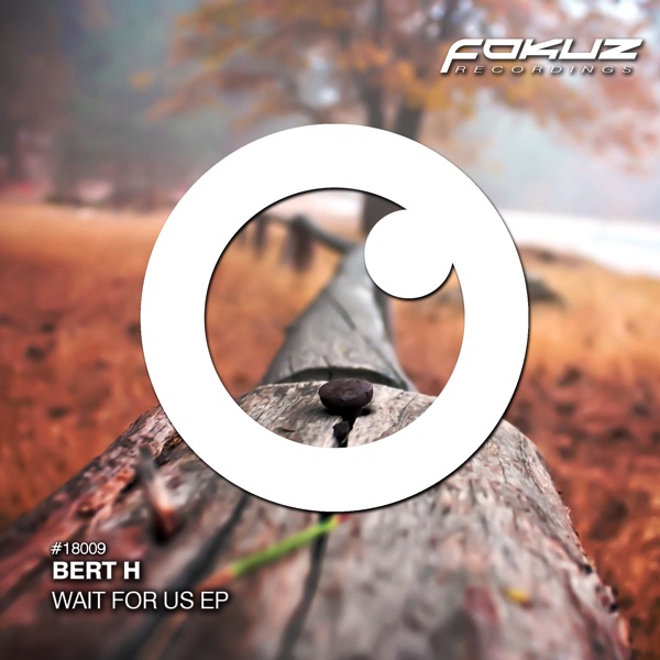 Wait for Us - Single