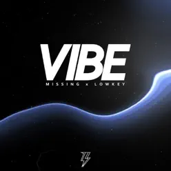 Vibe - Single - Lowkey Vibe - Single - Lowkey